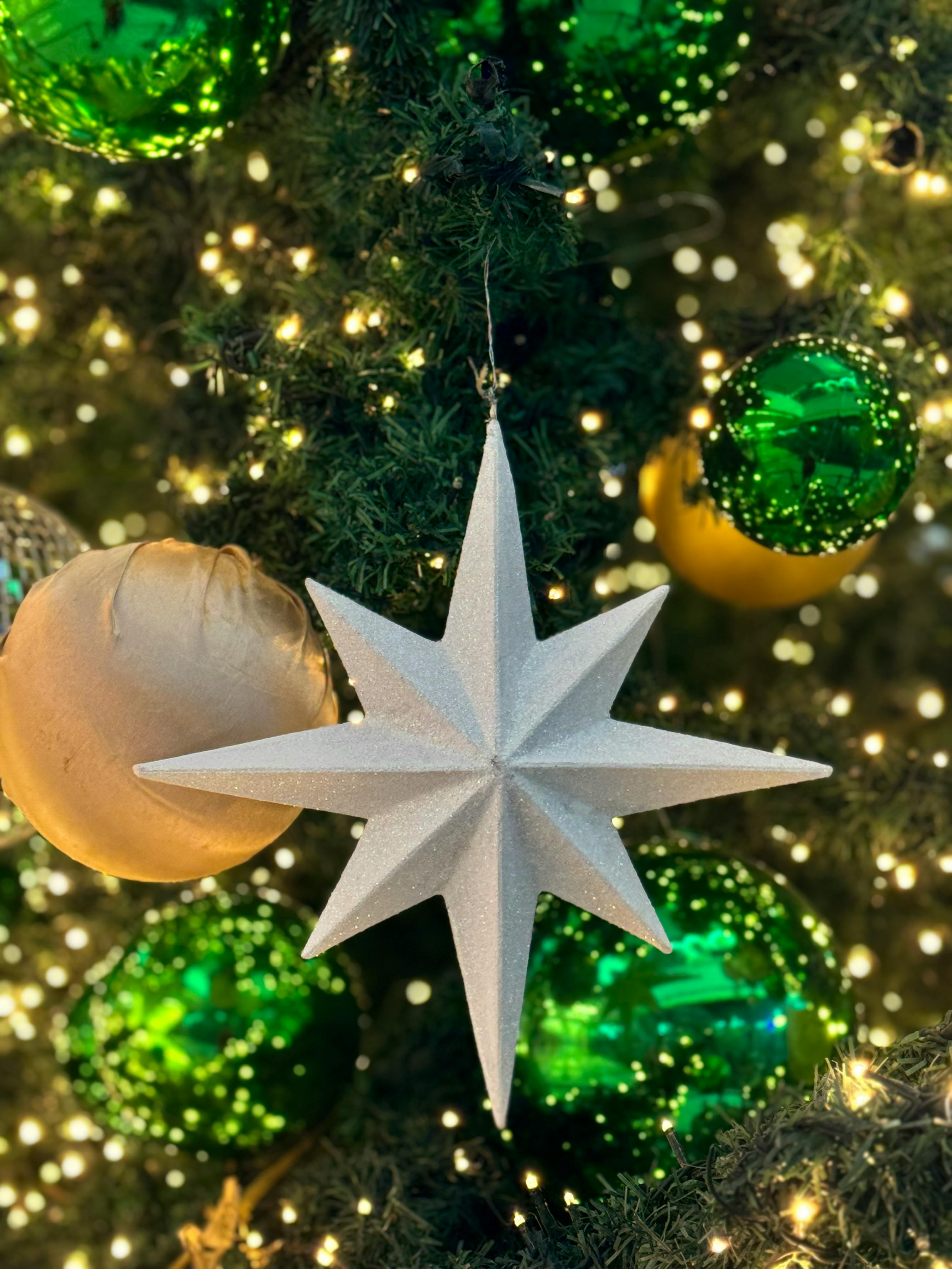 Was Macht Henrik von Eckermann Zum Star Im internationalen Springsport? 5 Fakten, Die Sie Überraschen Werden