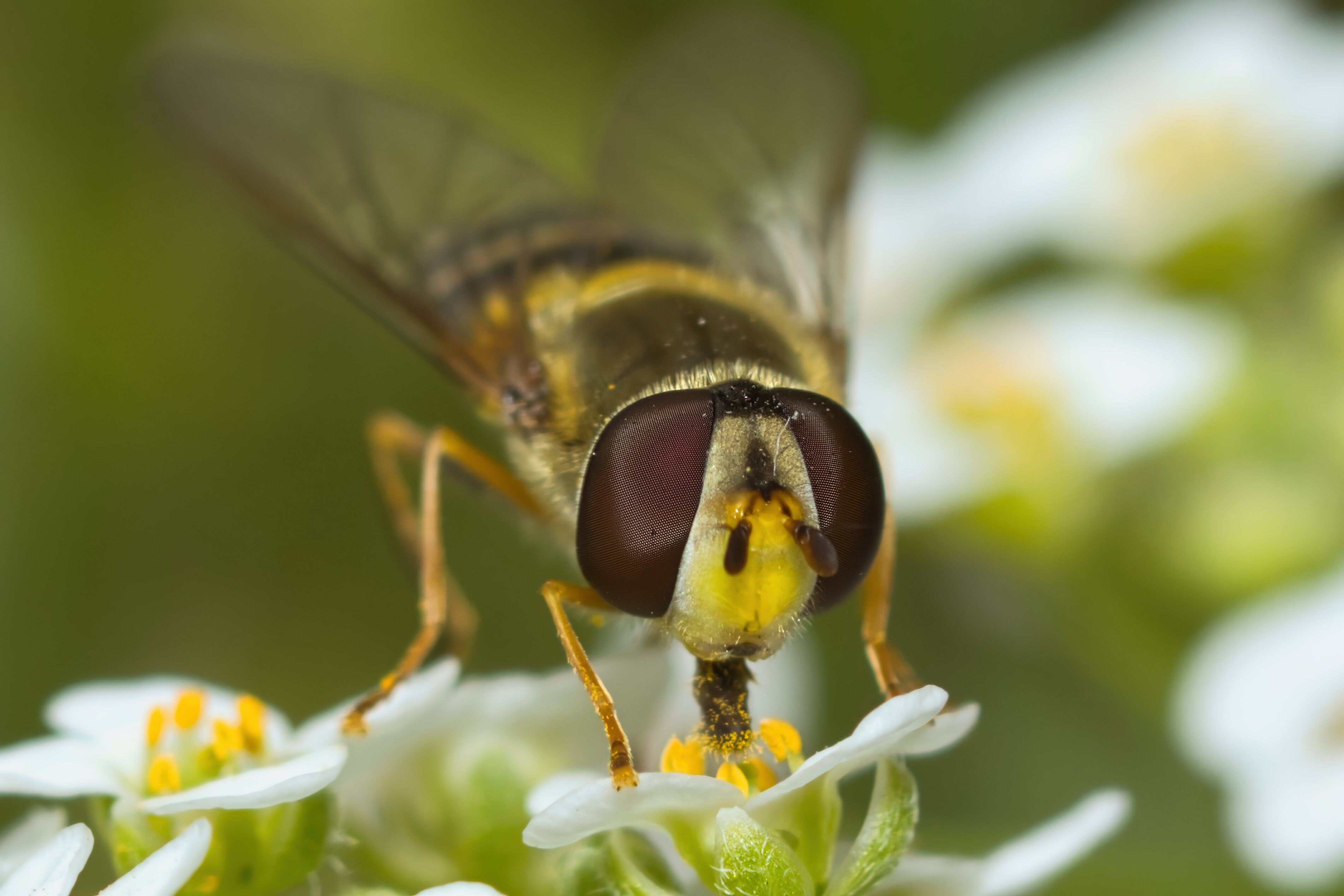 Insectenbestendige lampen verlichten nazomertuin.