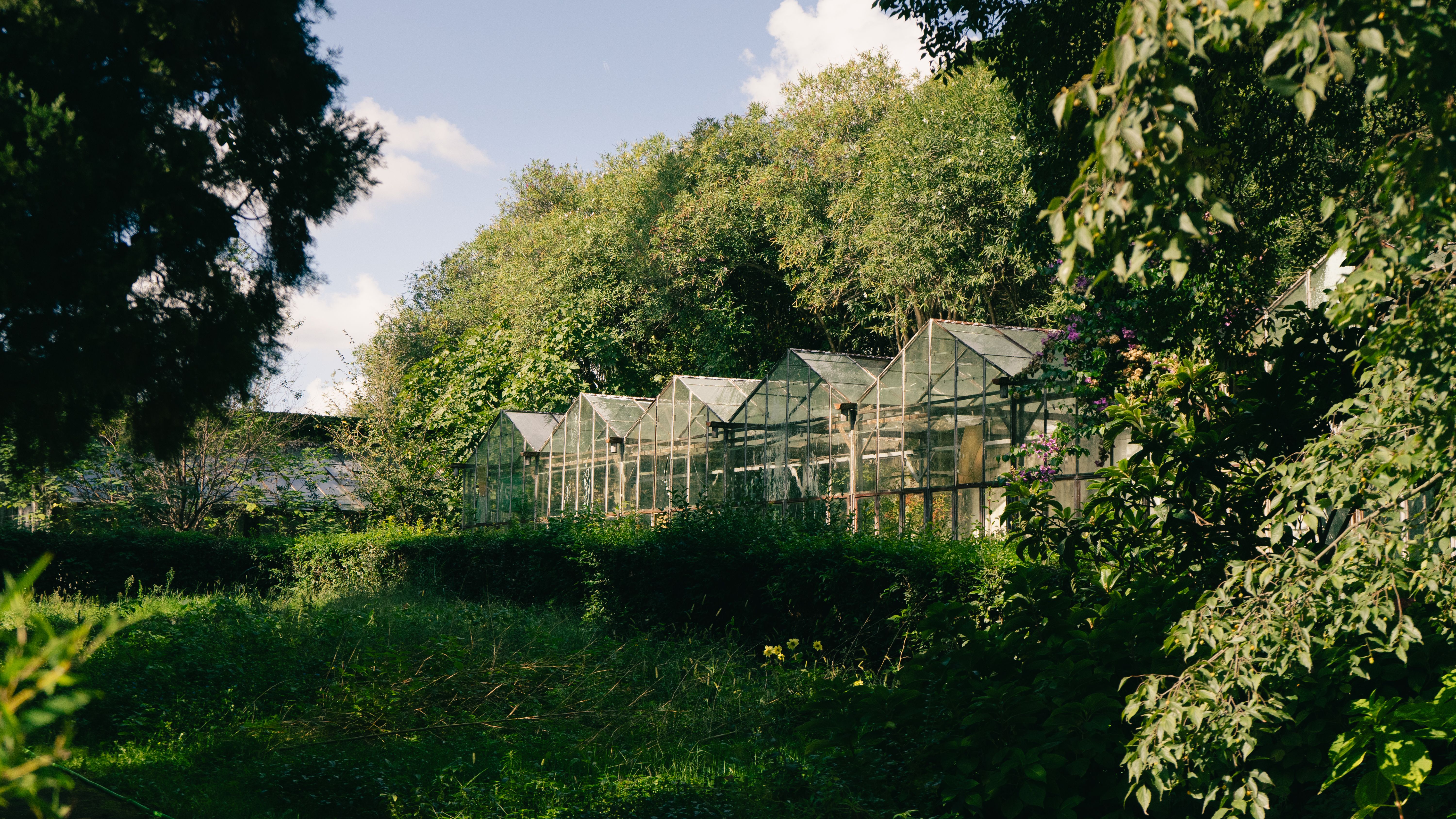 Glass greenhouses amid dense foliage on a sunny day in Tirana, Albania.