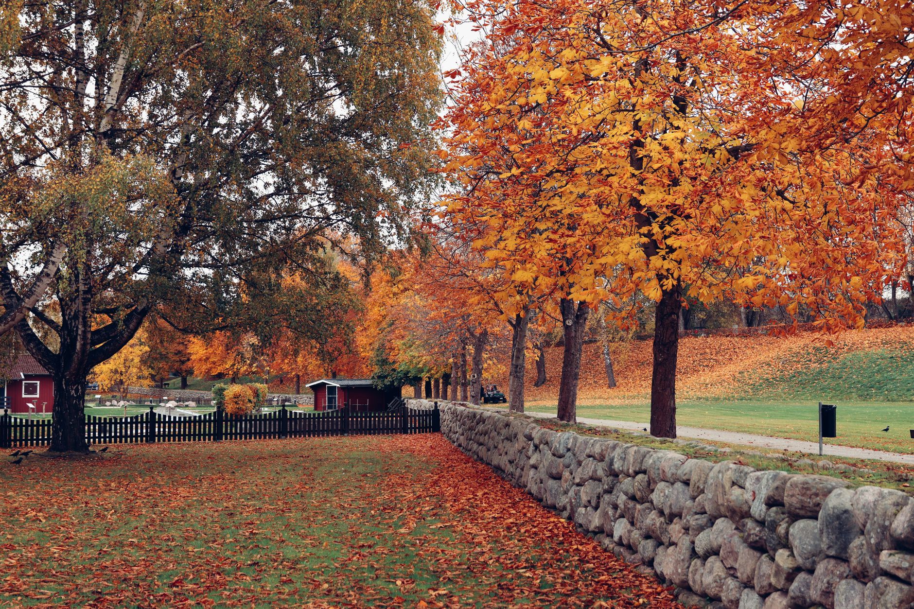 Beautiful autumn scene in Jönköping, Sweden, showcasing vibrant fall foliage and a stone wall.
