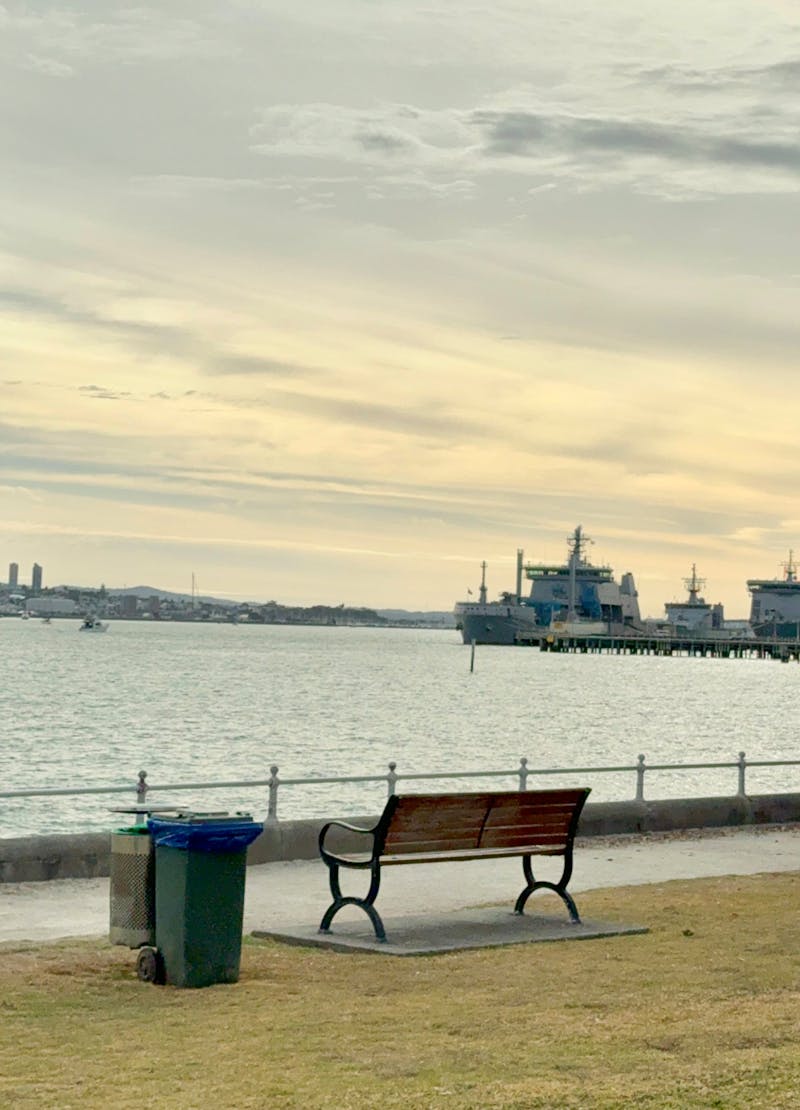 Auckland Photos, Download The BEST Free Auckland Stock Photos & HD Images