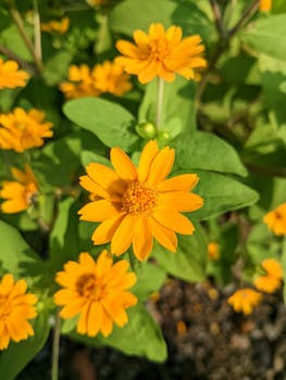  Suku Bunga KPR Hari Ini (22 Maret 2025): Jangan Harap Turun Drastis! - hari 3