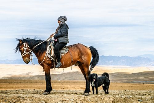 Free Nomadic horse rider in a scenic desert landscape with a loyal dog by their side. Stock Photo