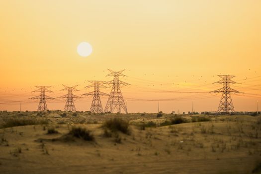 Sonnenuntergang & Natur bei Nacht – Elegante Neon-Szene