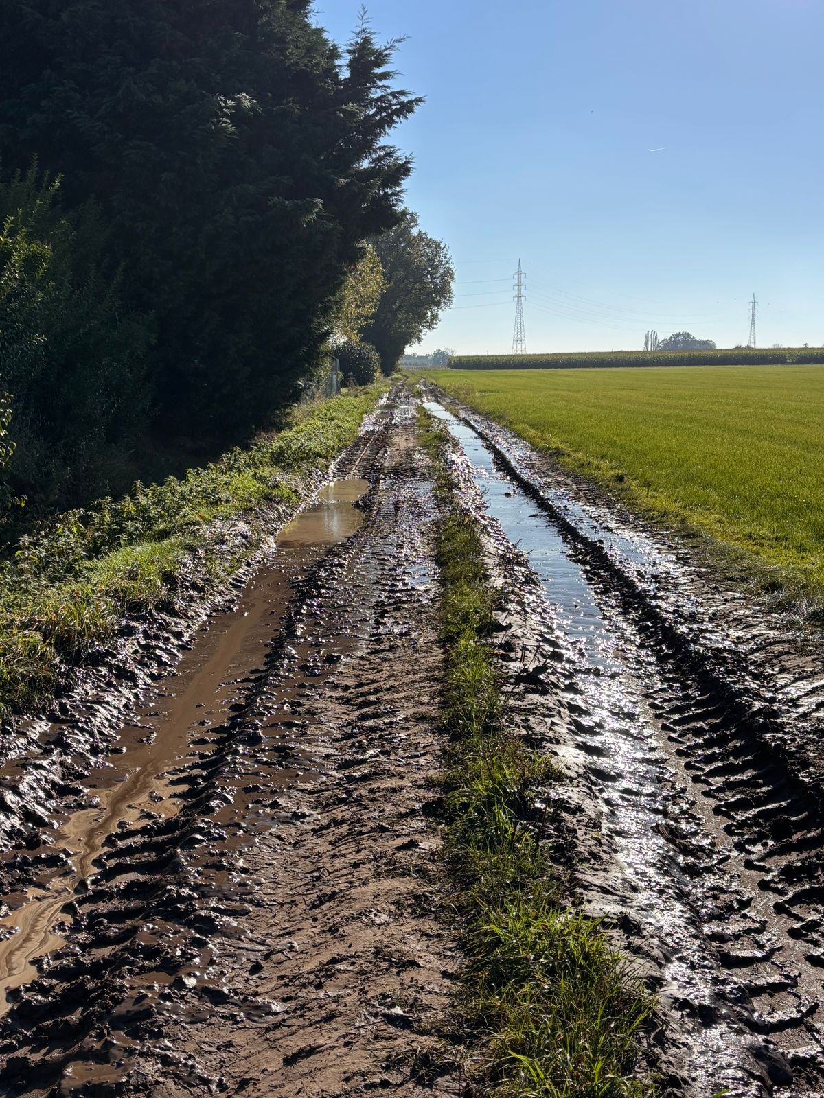Muddy tractor tracks through a wet field after rain