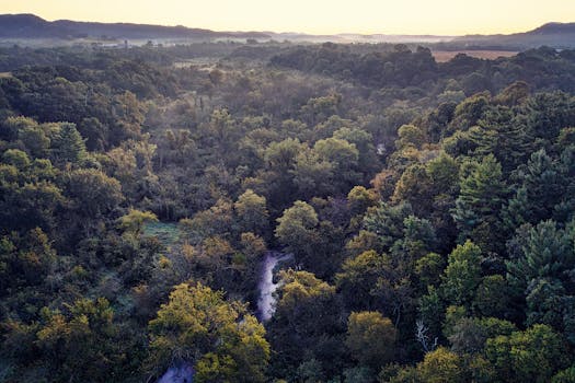 Breathtaking aerial view of lush forest landscape in Misha Mokwa, Wisconsin.