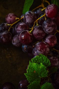 Close-up of fresh red grapes on the vine with dewy leaves, ideal for wine and fruit themes.