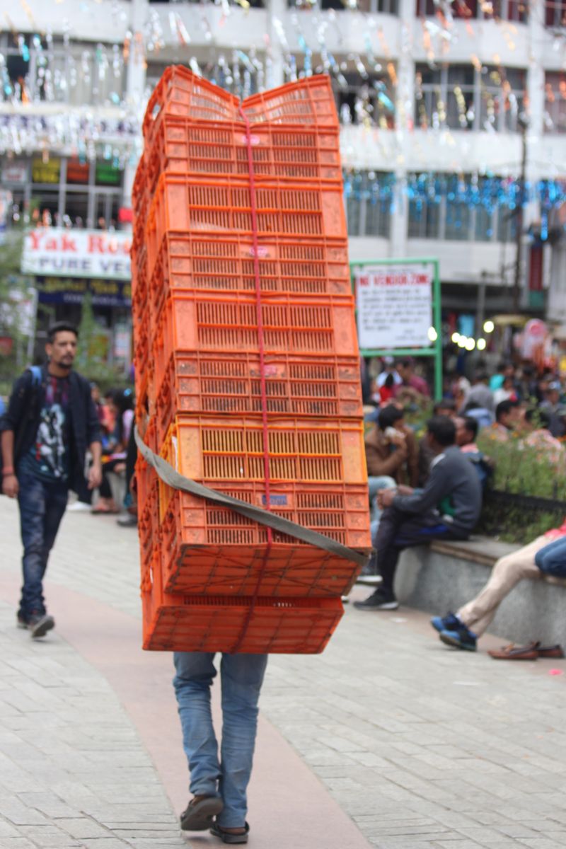 Someone Carrying Heavy Load Photos, Download The BEST Free Someone ...