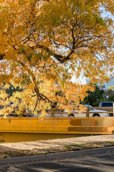 Image by M I N E I A    M A R T I N S