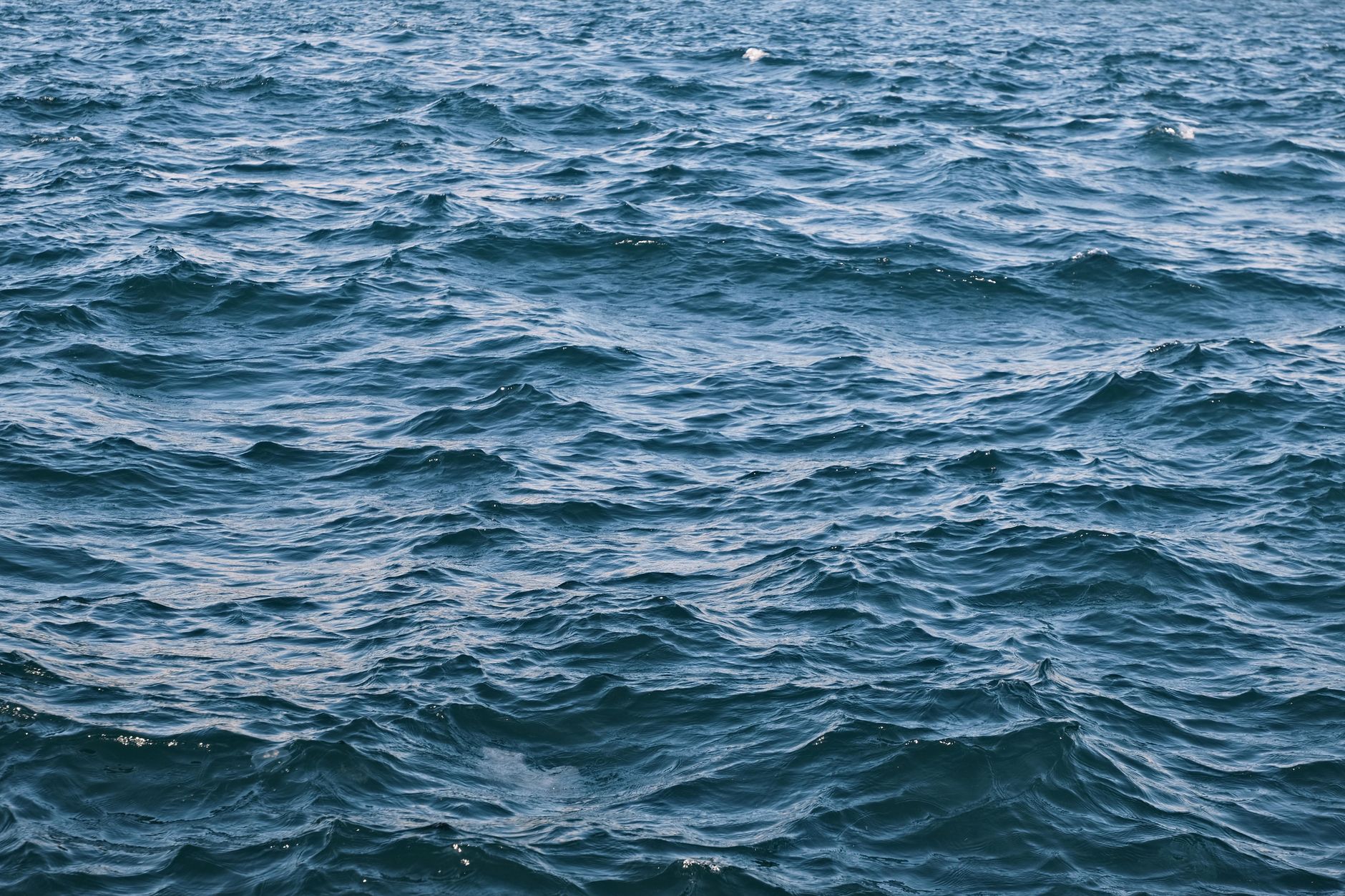 Record Ocean Scientists