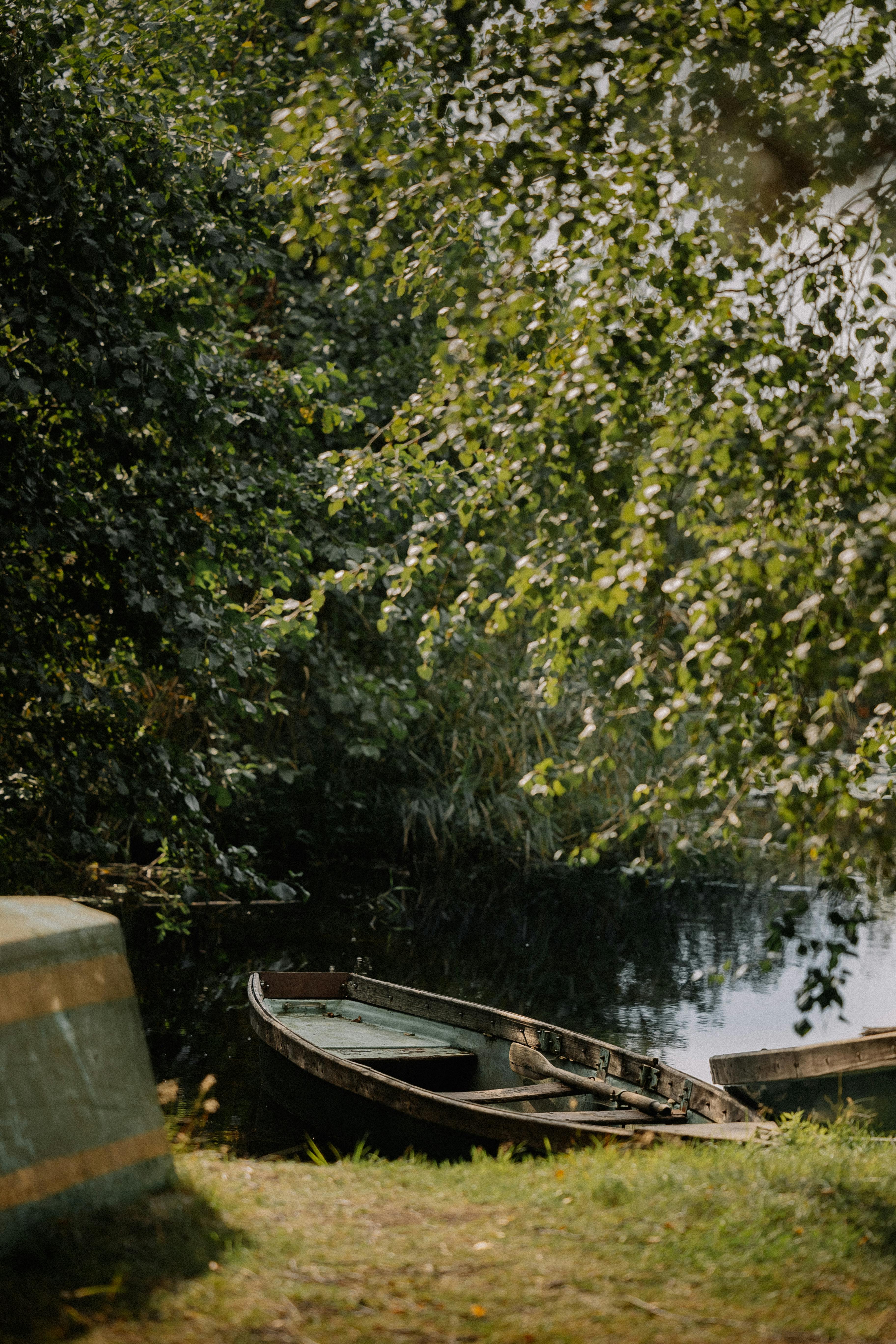 Peaceful riverside view with an old wooden boat under lush green trees.