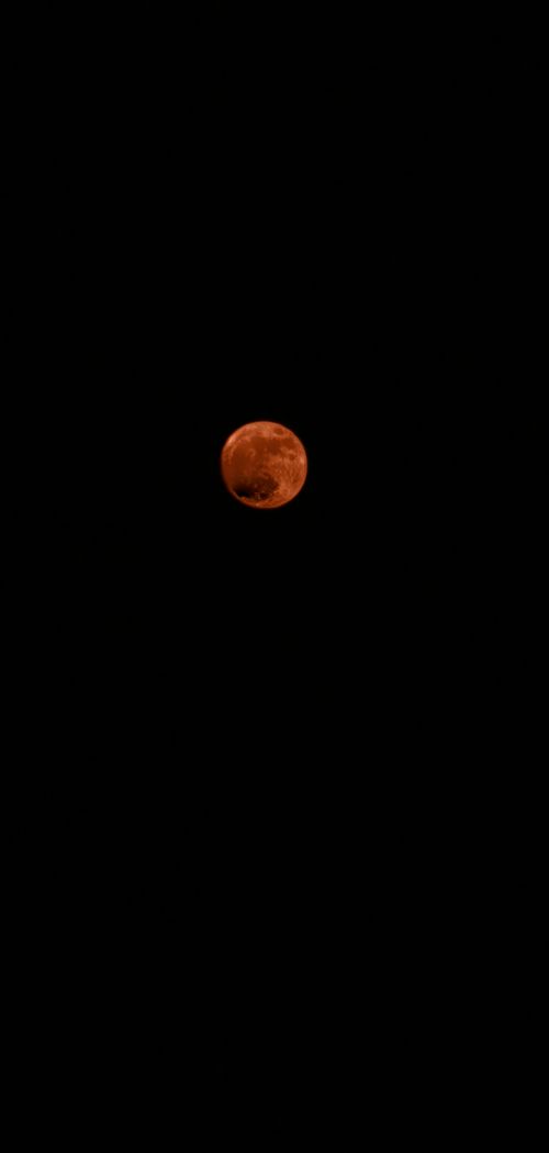 Free Moon Stock Photo