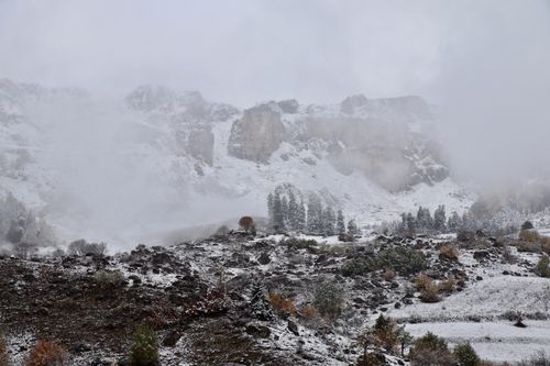 Free A serene winter scene capturing misty, snow-covered mountains in Artvin, Türkiye. Stock Photo