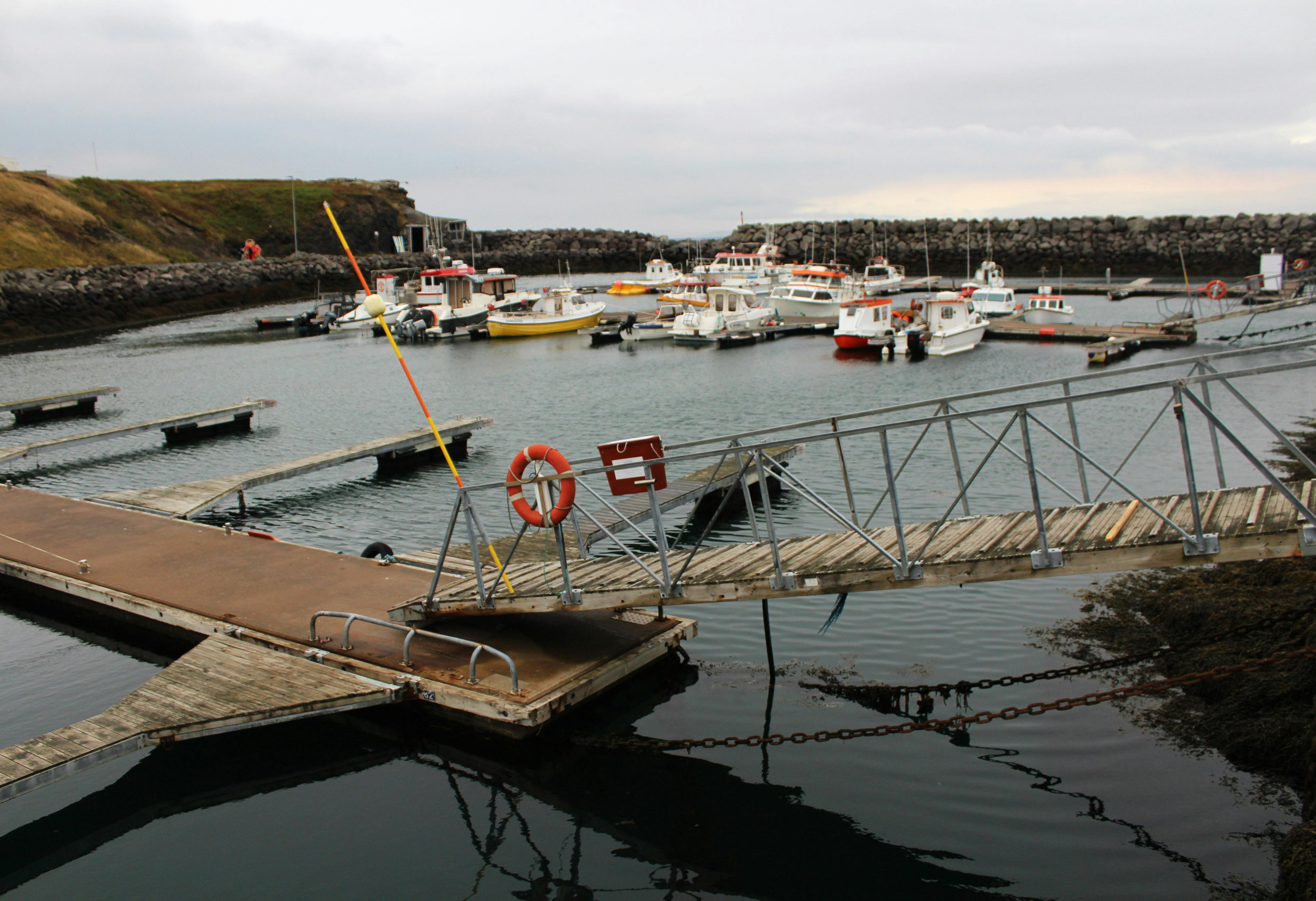 Iceland marina