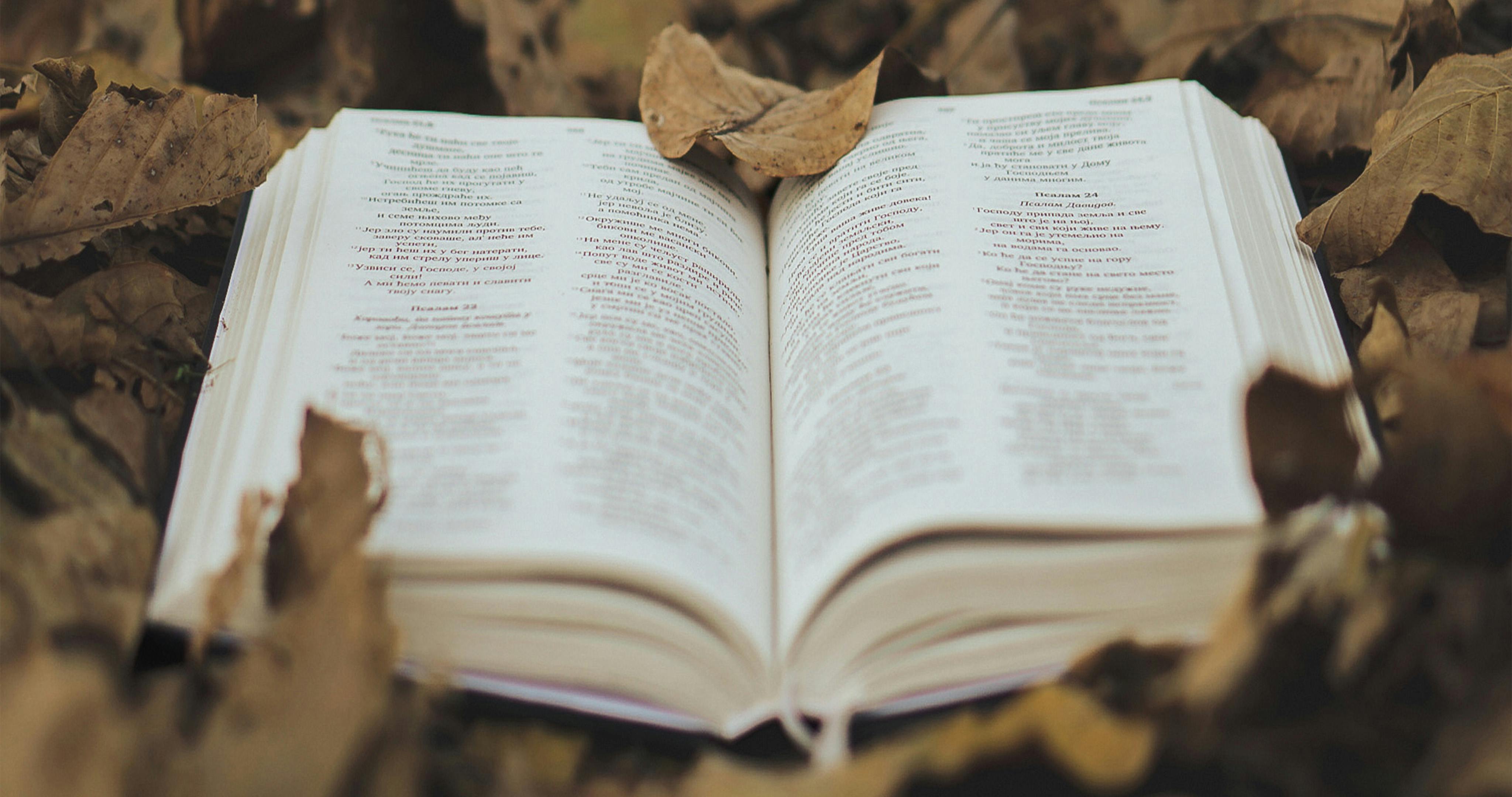 300+ general knowledge questions and answers for your next quiz — Photo by Darijan Janečić on Pexels