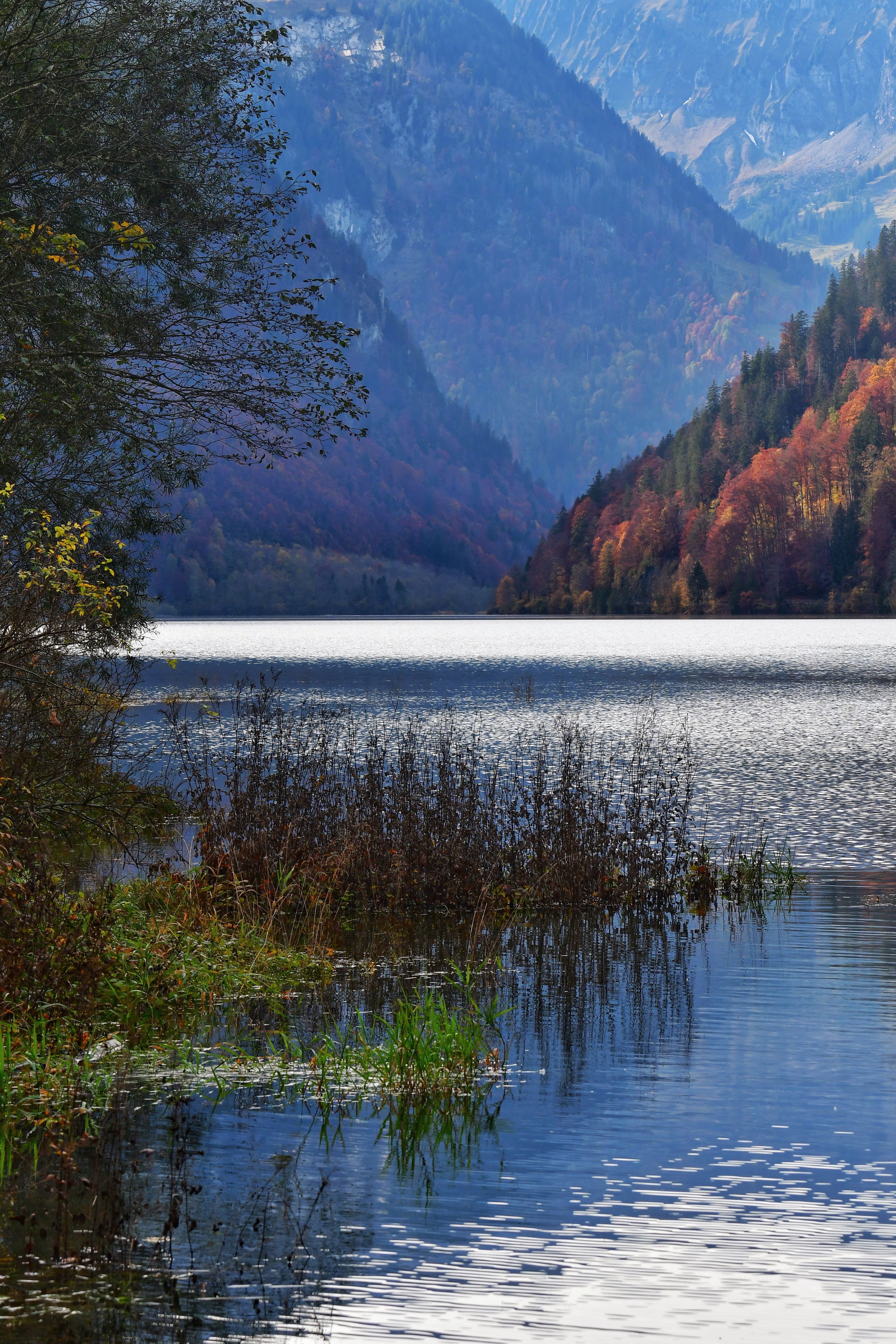 Serene Alpine Lake in Autumn Landscape · Free Stock Photo