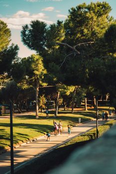 Families enjoy a sunny day walking through Turia Gardens, Valencia's lush green park.