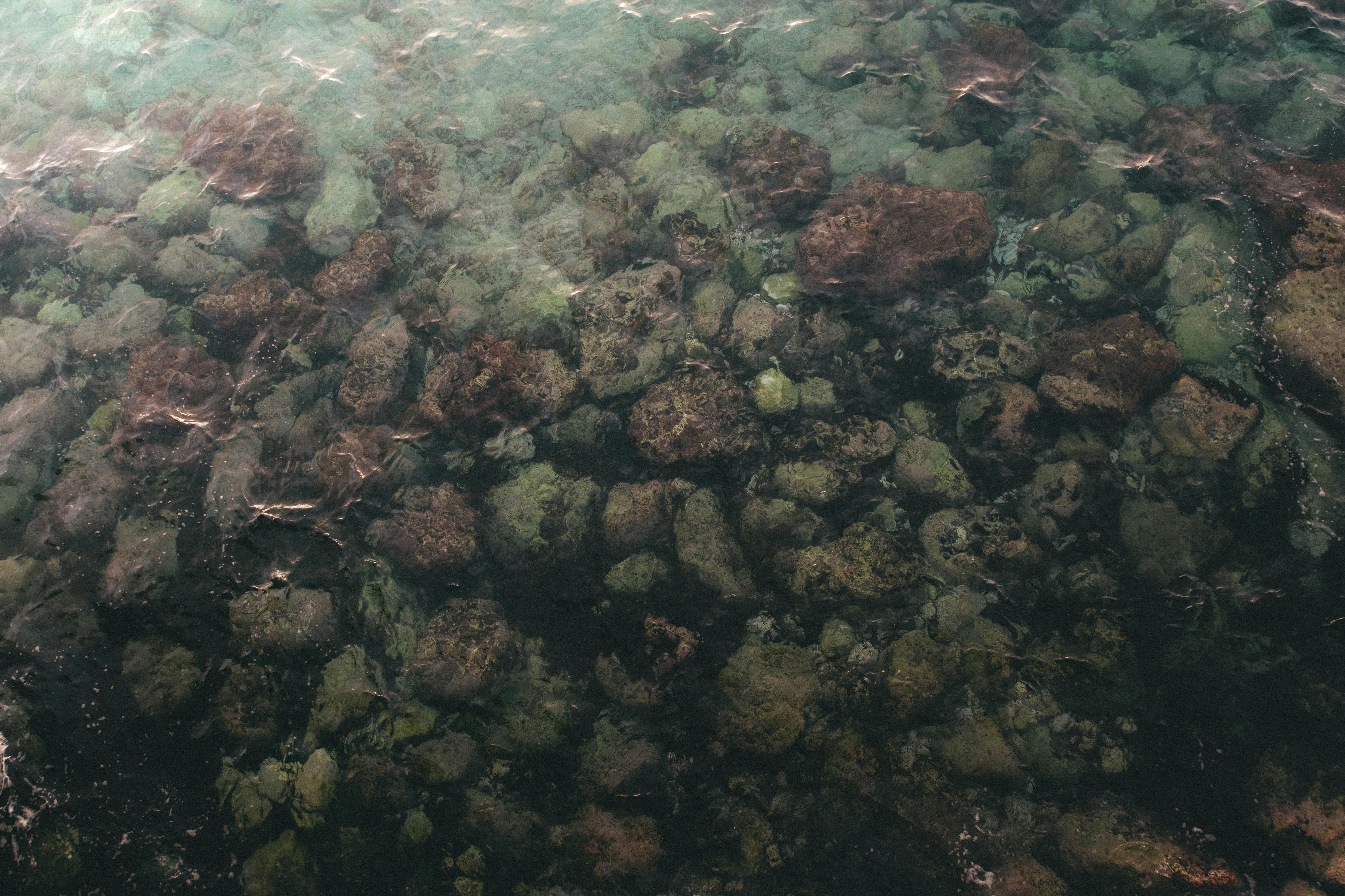 財經：騰訊龍蝦全國免費安裝計劃啟動，為期40天助你輕鬆上手