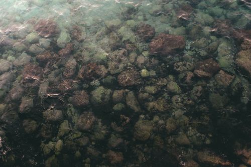 Free Serene view of clear sea waters revealing rocky shore in Marseille, France. Stock Photo