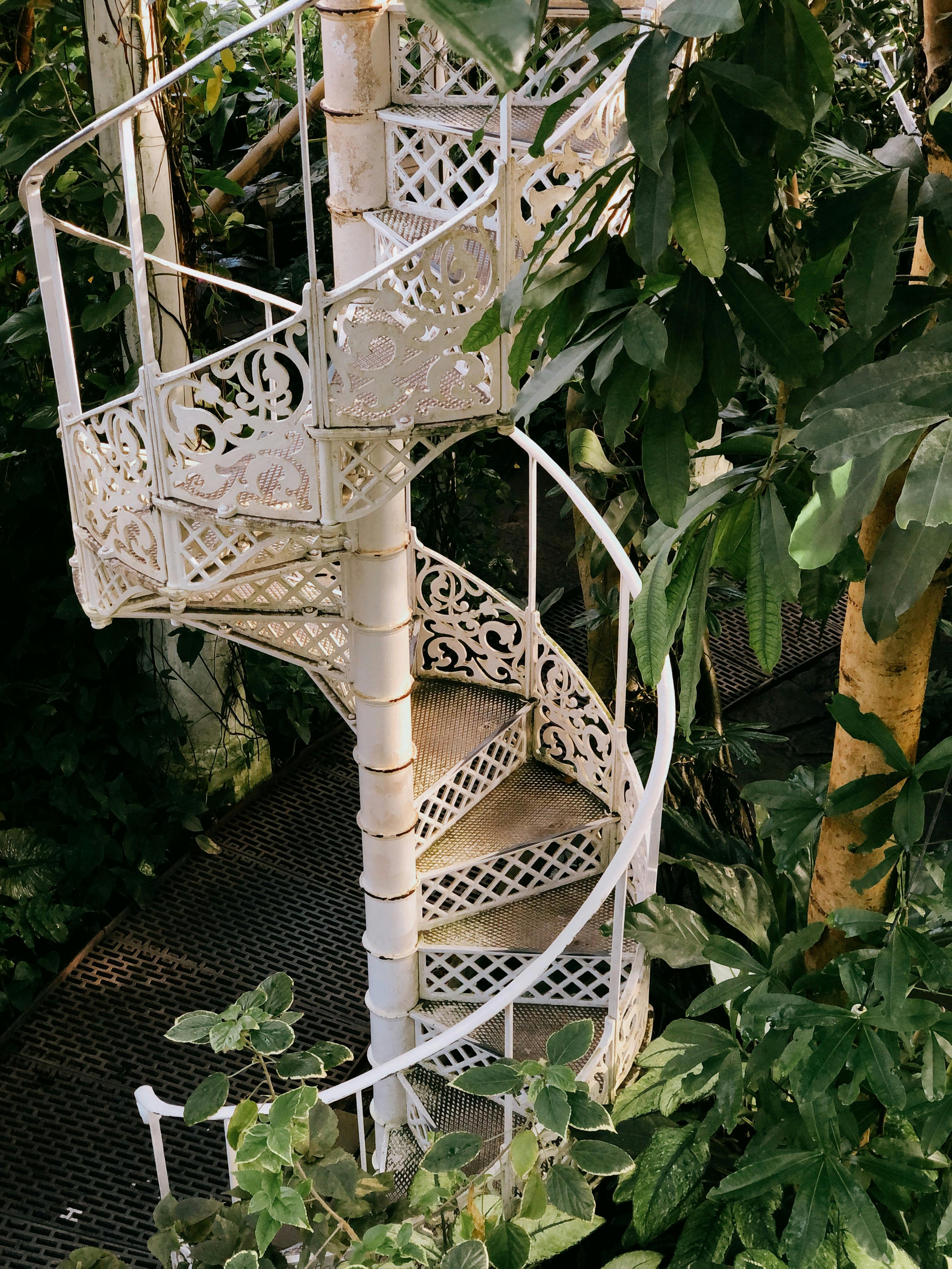 Beautiful white spiral staircase surrounded by vibrant green foliage in a Copenhagen greenhouse.