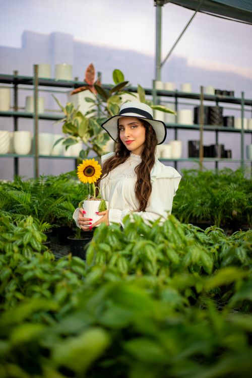 Free A woman in a stylish hat holds a sunflower in a lush greenhouse filled with vibrant plants. Stock Photo
