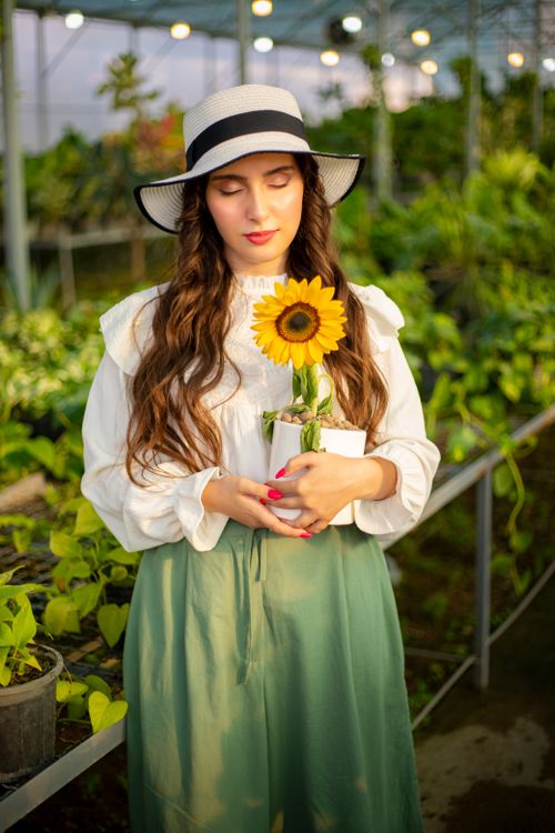 Free A woman in a hat holding a sunflower pot inside a modern greenhouse. Stock Photo