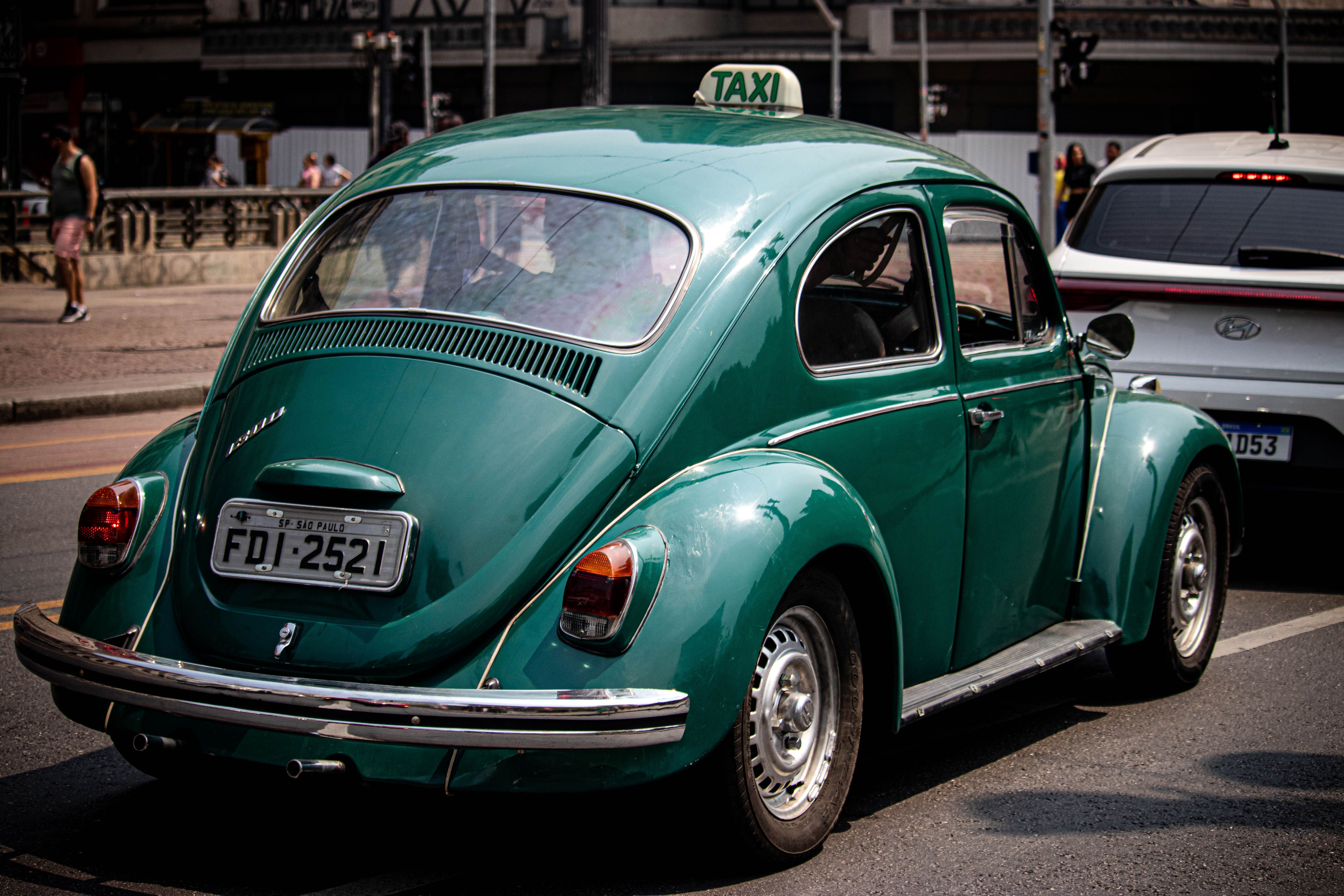 Photo by Giovana  Montes Furlan on Pexels