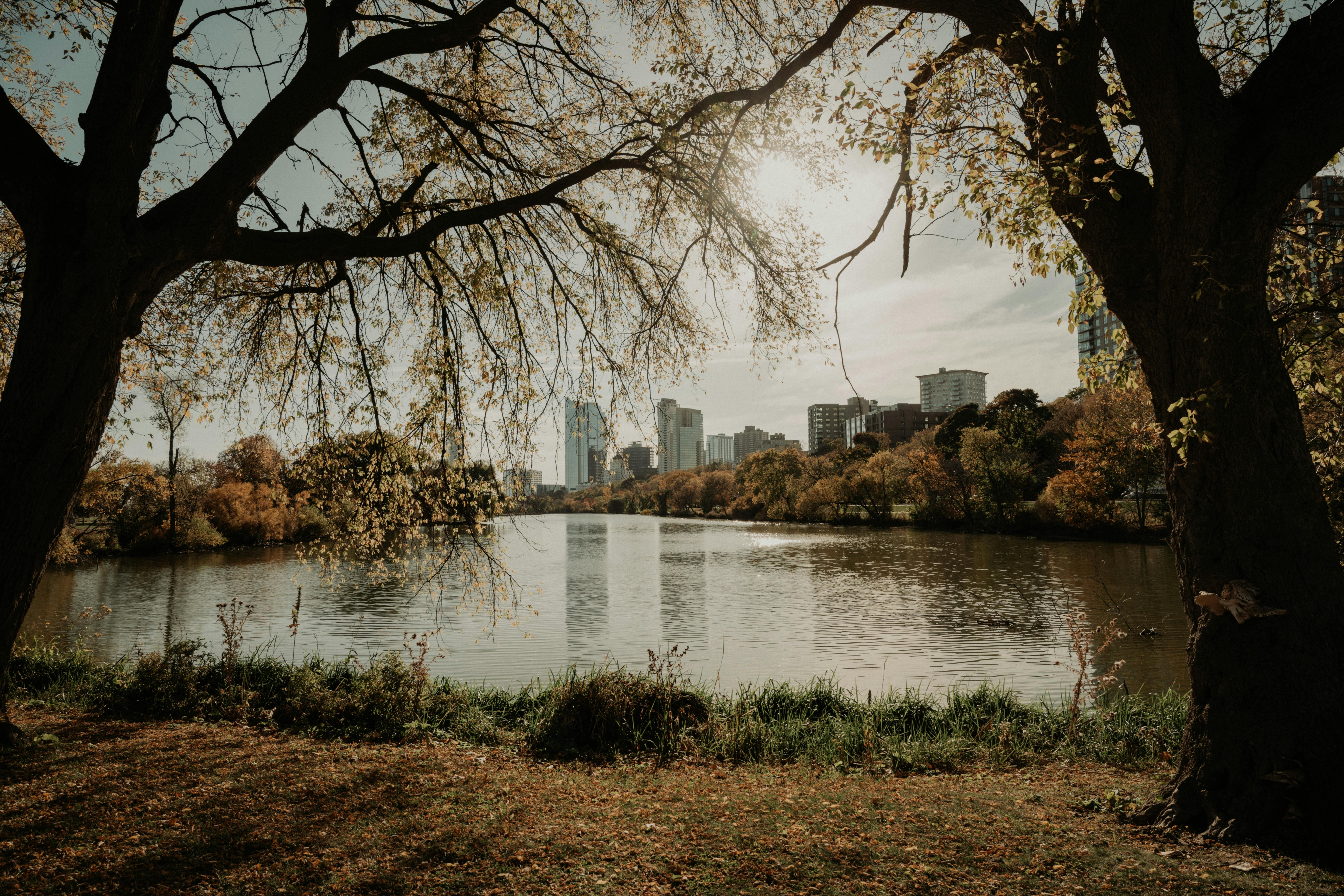 Airport transfers in Milwaukee