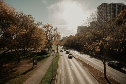 Scenic autumn view of a busy street in Milwaukee with golden foliage and high-rise buildings.