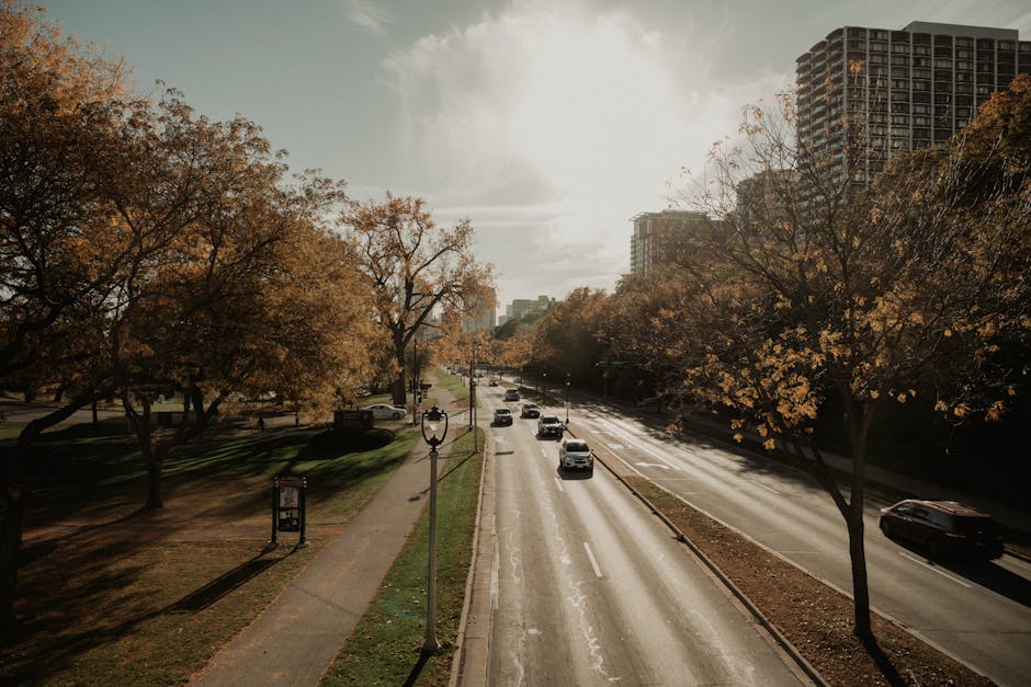 Explore Eco Conscious Ways to Get Around During Your Travels
