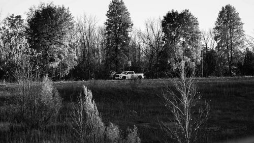 Free A white pickup truck parked in a scenic autumn forest in Kitchener, Ontario. Stock Photo