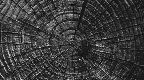 Free A detailed black and white close-up of a charred tree trunk showcasing intricate growth rings and cracks. Stock Photo