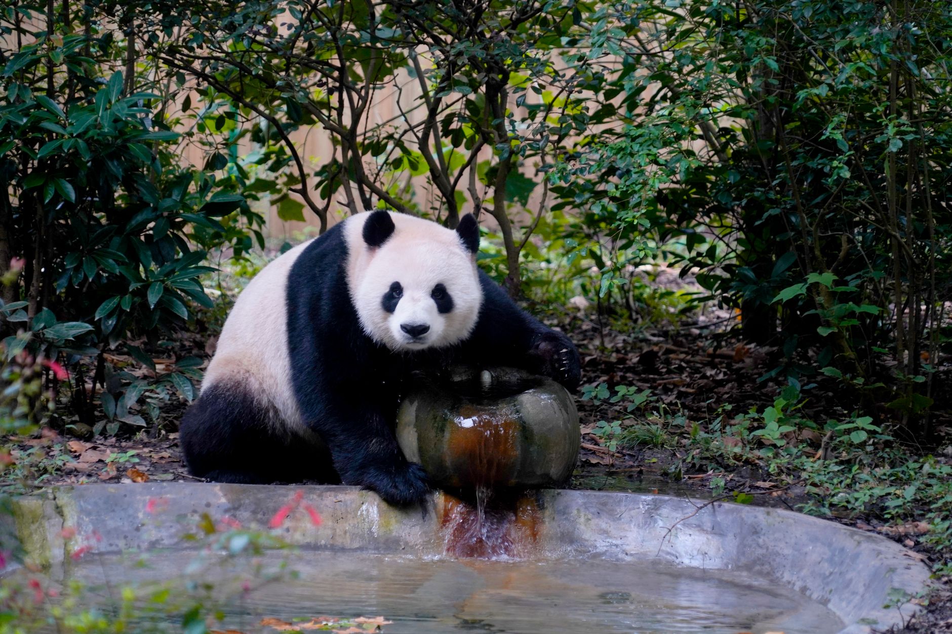 Chengdu, China