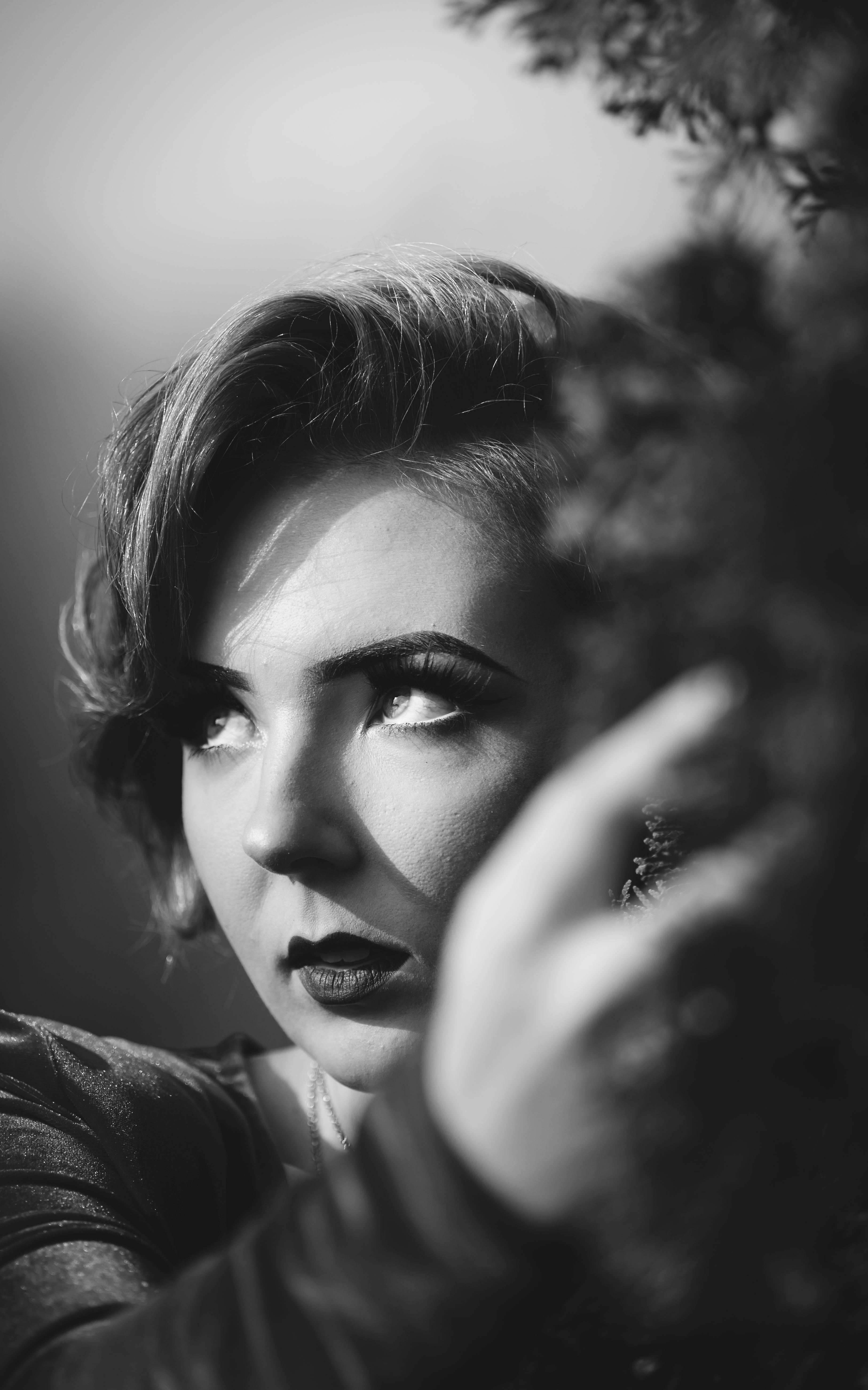 Camera Style Photos, Download The BEST Free Camera Style Stock Photos ...