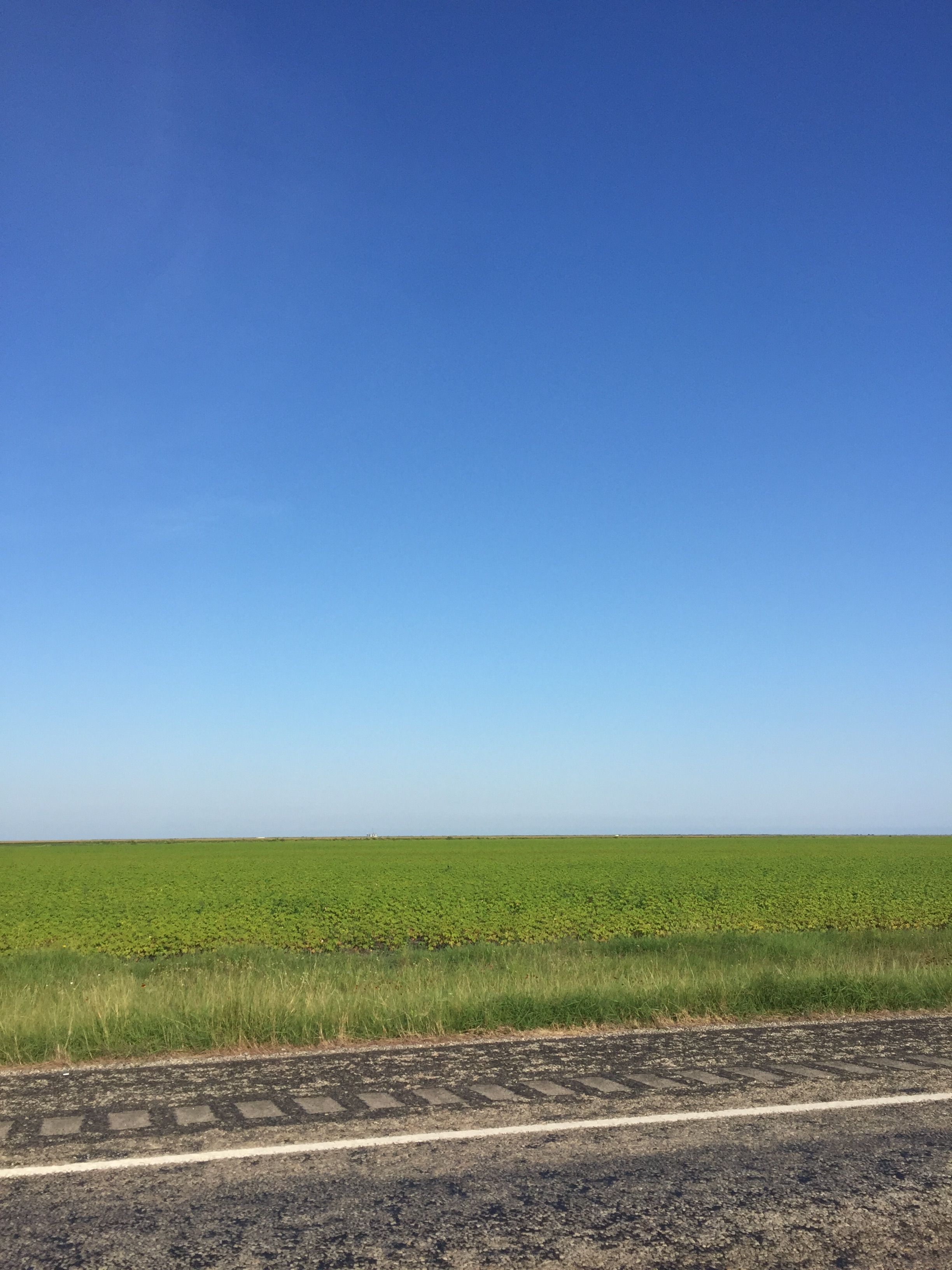 Expansive Green Field Under Clear Blue Sky · Free Stock Photo