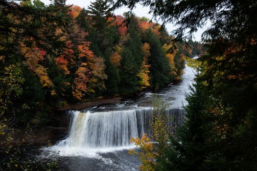 upper peninsula nature