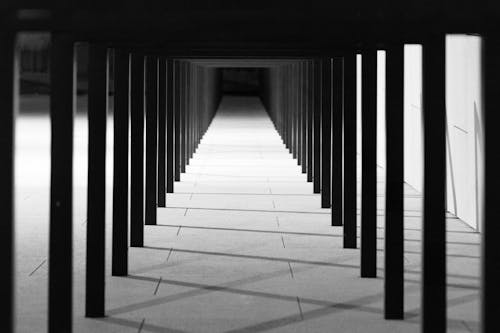 Interior of empty building with columns