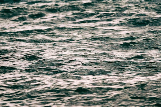 迷人的海浪运动景观，展现了海洋的流动与力量