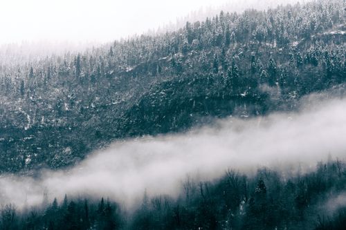 Free Drone view of landscape of thick clouds covering elevated area with dense coniferous forest Stock Photo