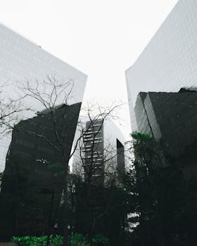 圣保罗的城市景观中，摩天大楼林立，展现了巴西的现代建筑风貌