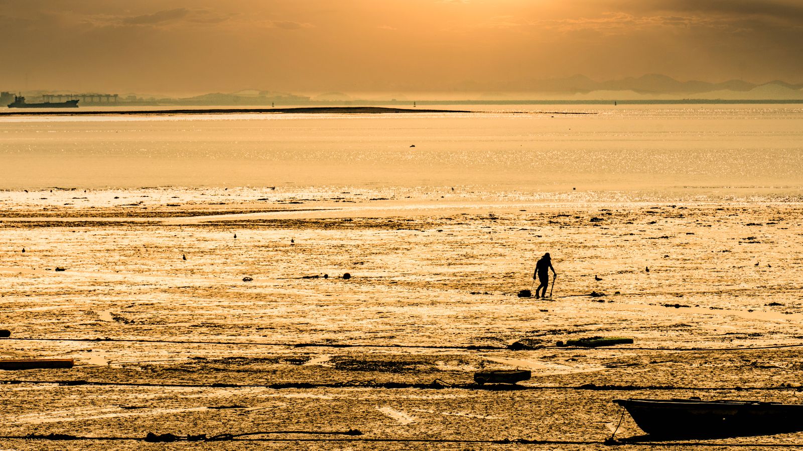 Silhouette of a person on mudflats at twilight, Mauritania