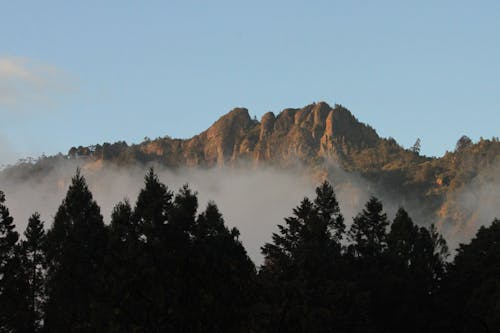 Free stock photo of mist, mountains, taiwan