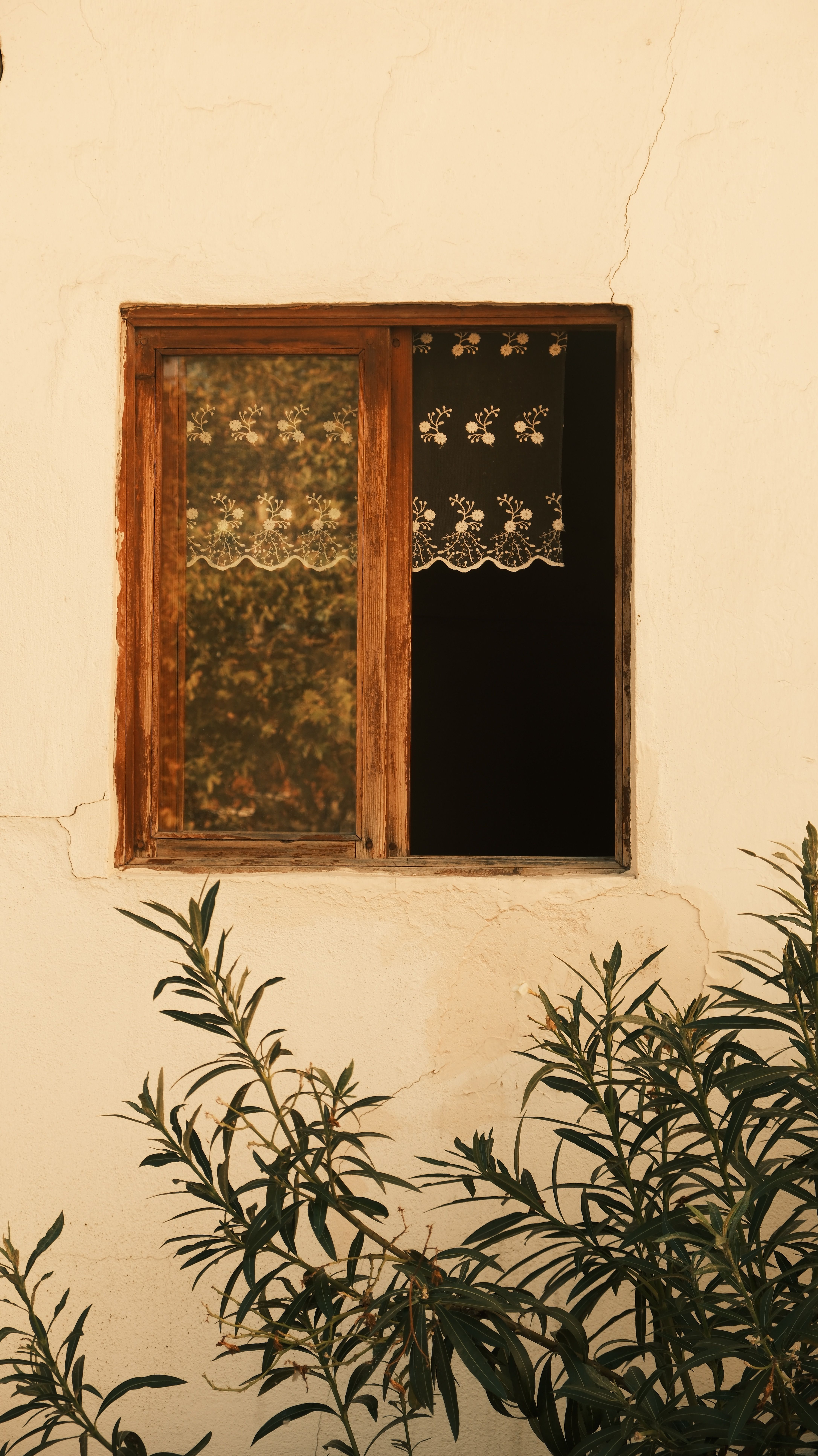 Fotomural Fotolia