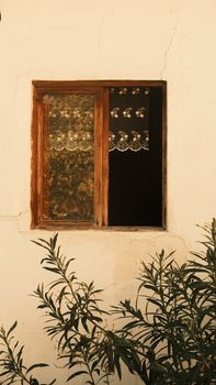 A vintage wooden window with lace curtains and plant in foreground.