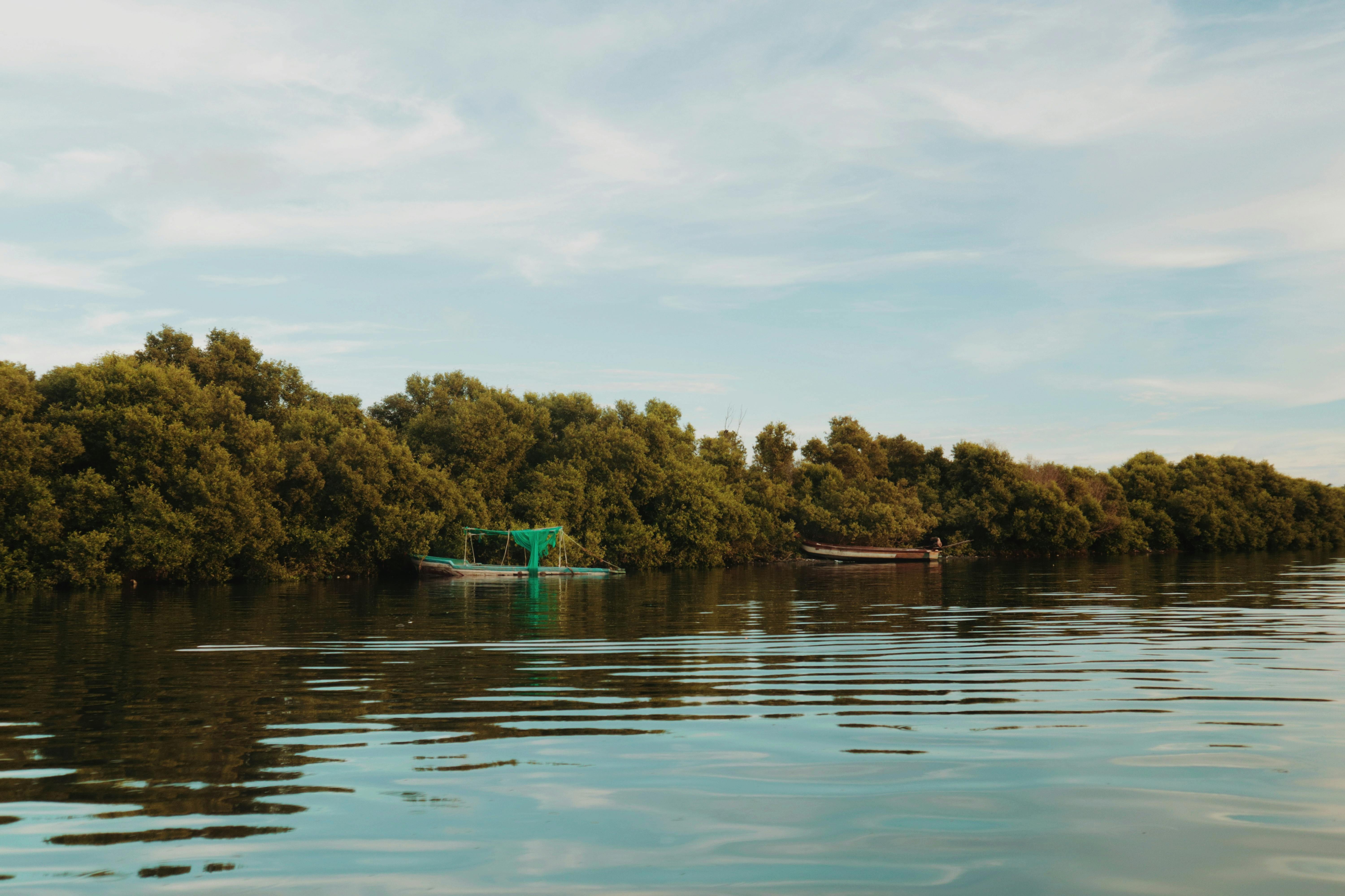 Peaceful river view featuring mangroves and a fishing boat under a blue sky.