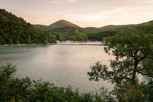 夜明けの湖の写真