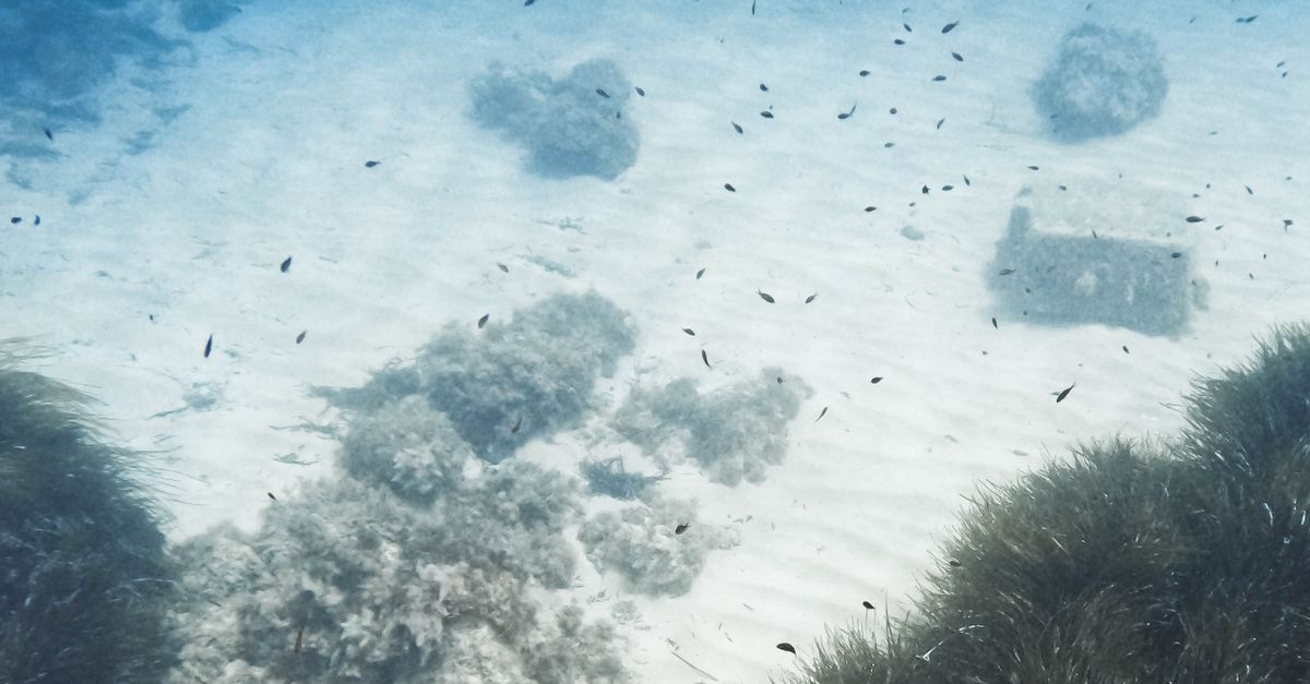 Los 10 sitios submarinos más profundos visitados por humanos en todo el mundo Los 10 sitios submarinos más profundos visitados por humanos en todo el mundo