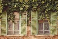 质朴的建筑立面搭配绿色百叶窗和多叶葡萄藤，呈现出复古美学