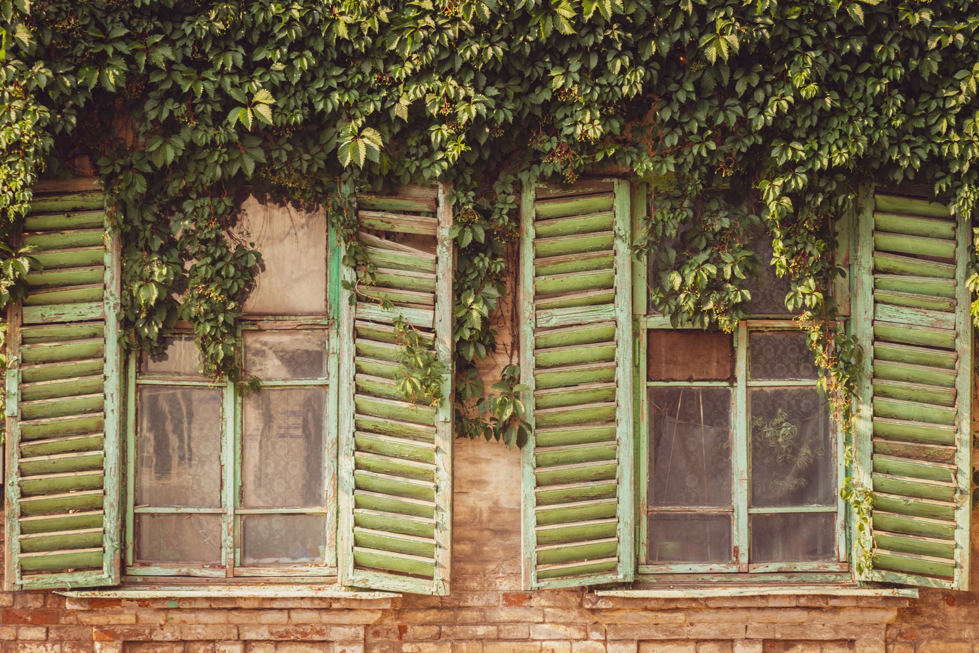 Rustic building facade with green shutters and leafy vines for a vintage aesthetic.