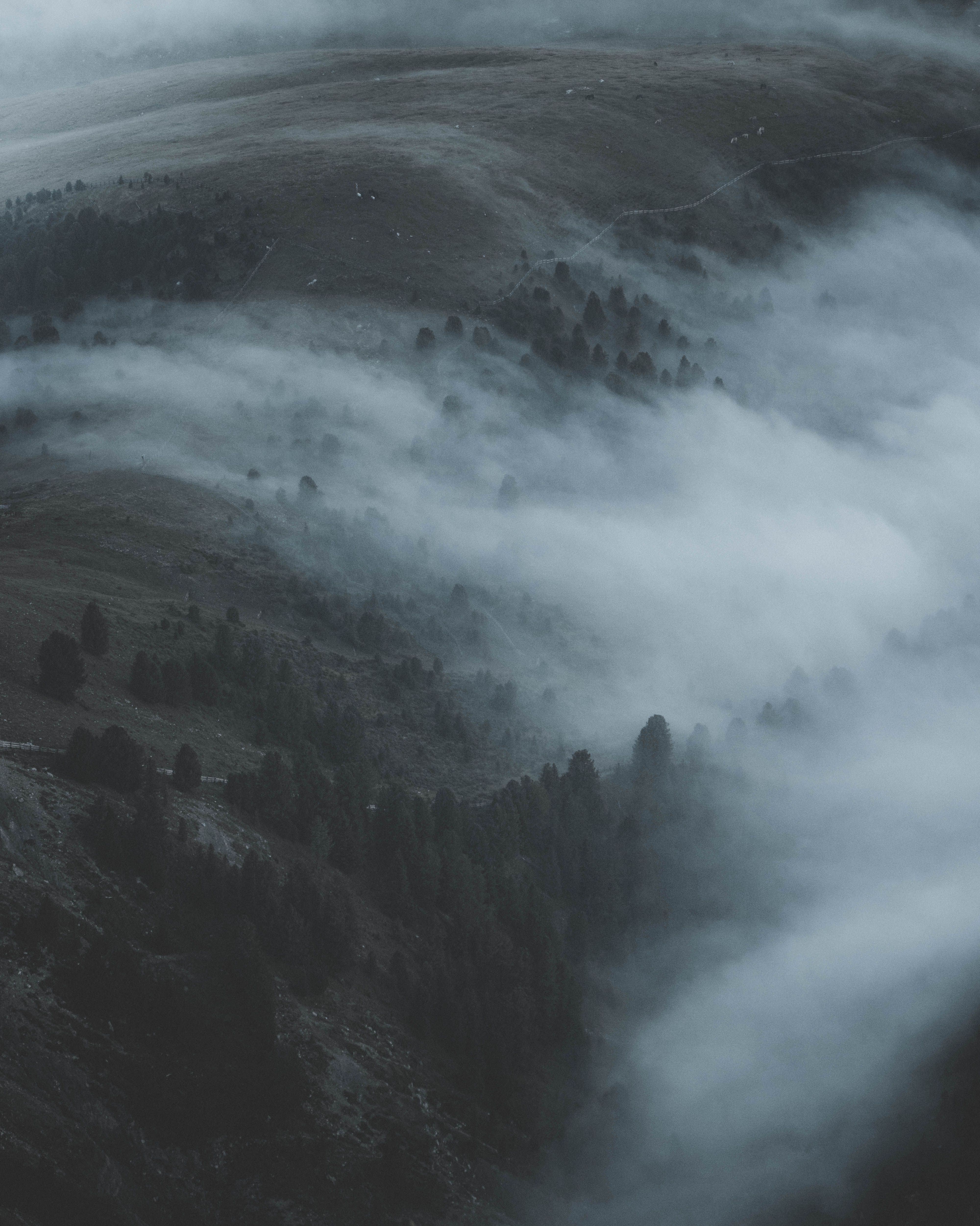 Misty Mountain Landscape with Rolling Fog · Free Stock Photo